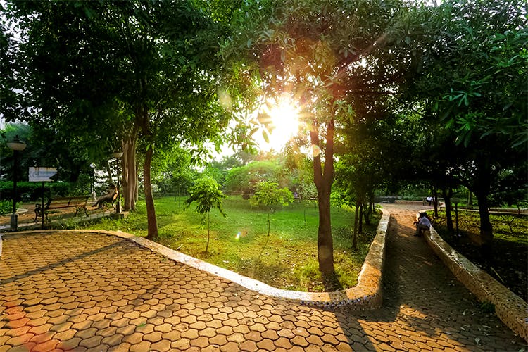 Theme Garden